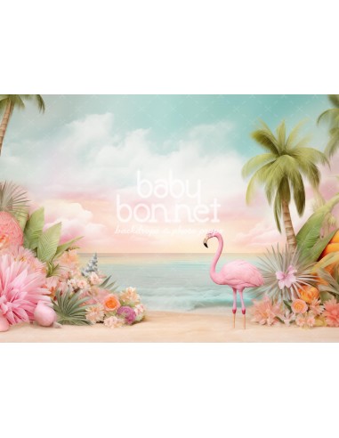 Flamingoes beach (backdrop)