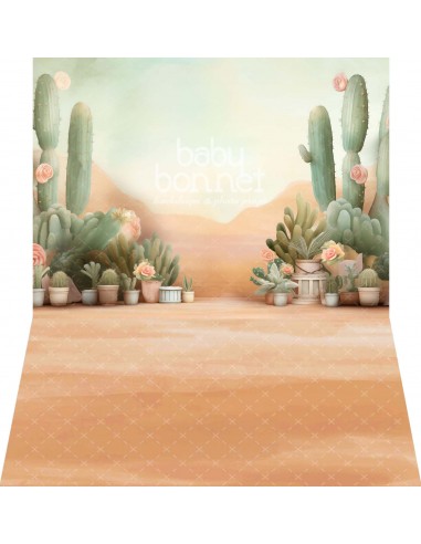 Cactus en fleurs dans le désert (fond de studio - mur et sol)