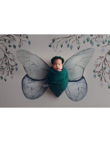 Blanket green and blue butterfly (wrinkle-free fabric backdrop)