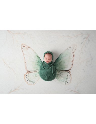 Blanket light green butterfly (wrinkle-free fabric backdrop)