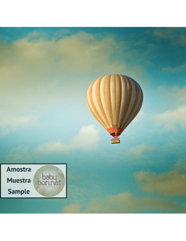 Balão de ar quente (fundo fotográfico)