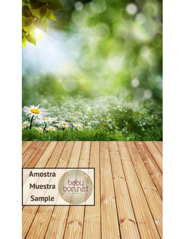 Field in a bokeh background (backdrop - wall and floor)