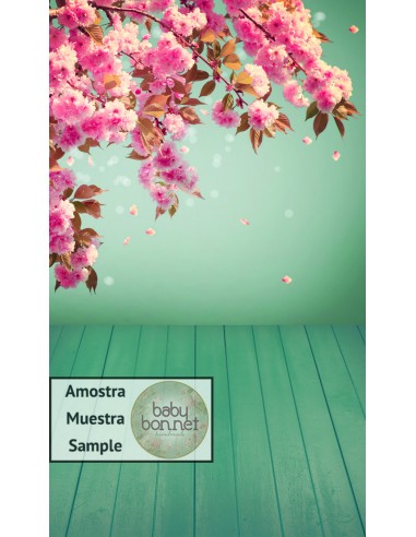 Cerisier en fleur sur fond vert d'eau (fond de studio - mur et sol)
