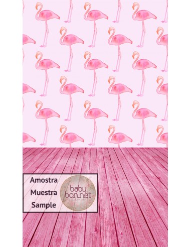 Flamingos (fundo fotográfico - parede e chão)