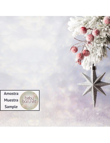 Silver star with mistletoe (backdrop)