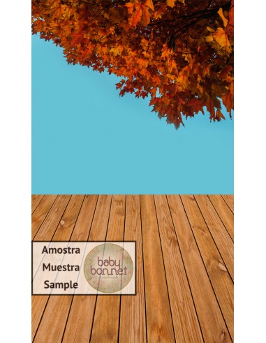 Ramo de outono em céu azul (fundo fotográfico - parede e chão)