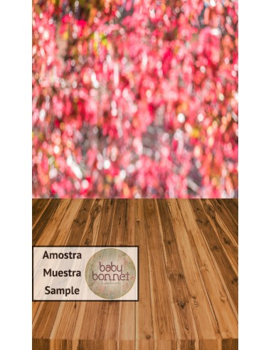 Bokeh in Autumn tones (backdrop - wall and floor)