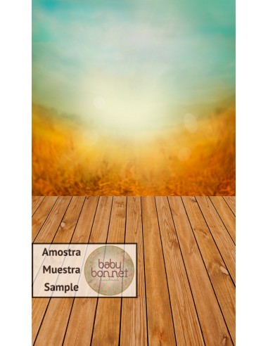 Bokeh landscape in warm Autumn colors (backdrop - wall and floor)