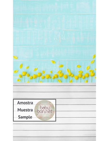 Tulipas amarelas em fundo turquesa (fundo fotográfico - parede e chão)