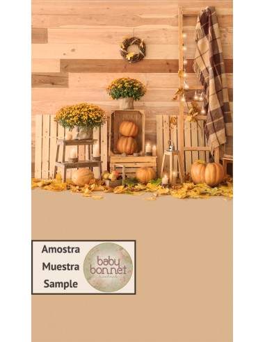 Decoration with pumpkins (backdrop - wall and floor)