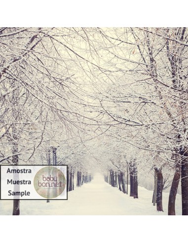 Caminho por entre árvores e neve (fundo fotográfico)