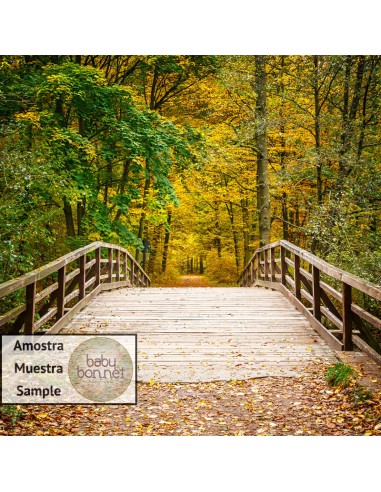 Wooden walkway in Autumn (backdrop)